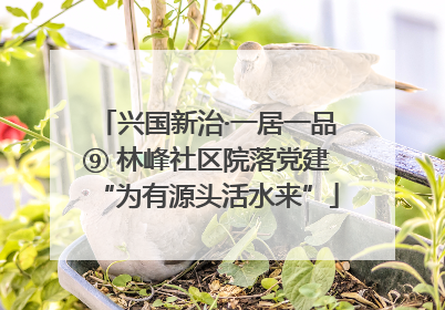 兴国新治·一居一品⑨ 林峰社区院落党建“为有源头活水来”